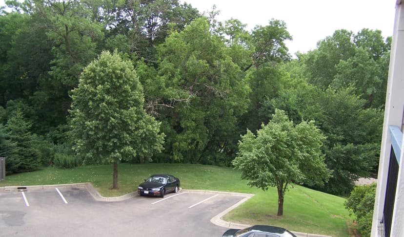 Tree View